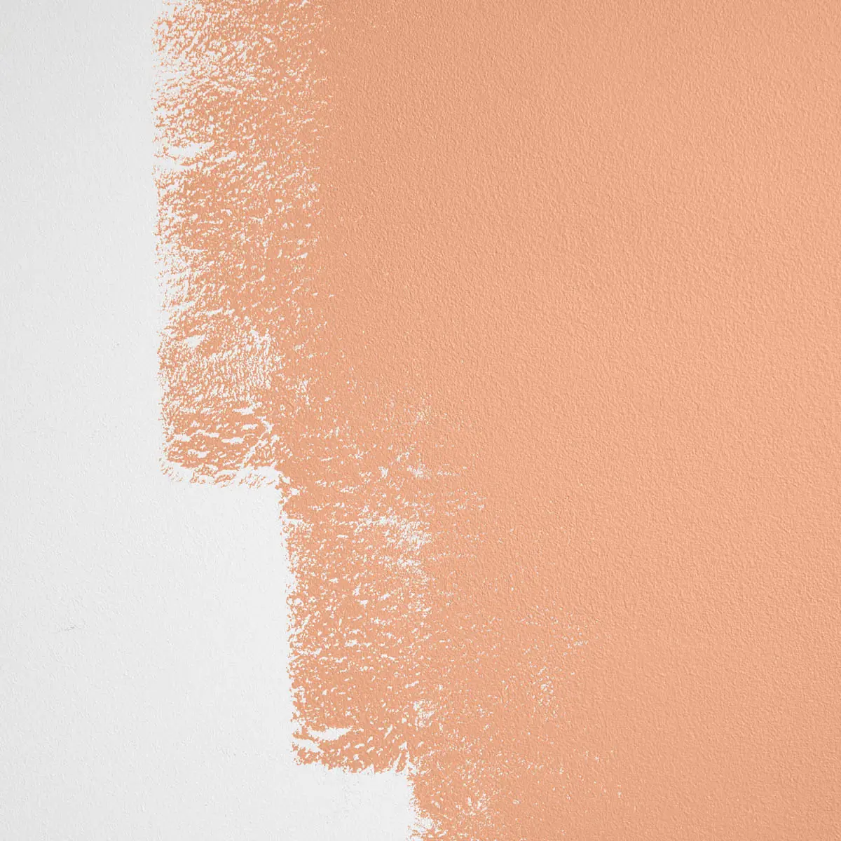 APERITIVO HOUR_ Deep, dark peach