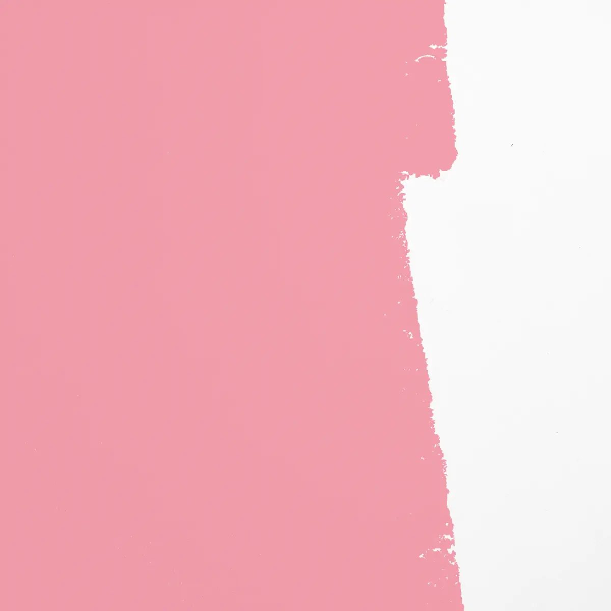 BARRAGÁN-CITO_ Electric, bright pink