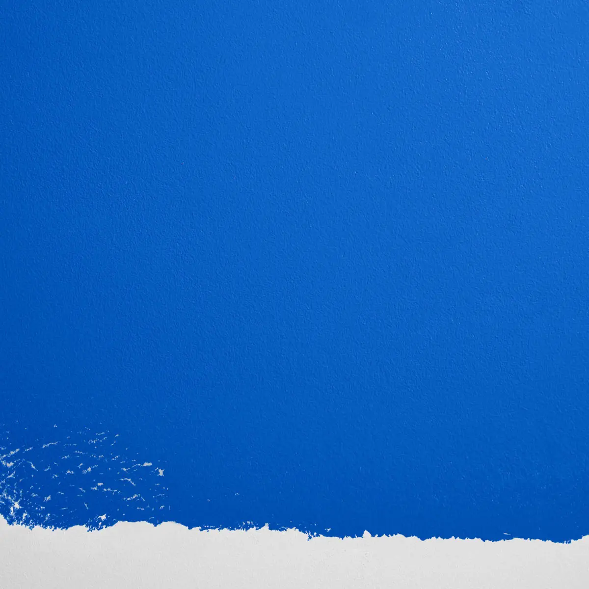 BLUE IS THE COOLEST COLOR_ Bright, saturated blue