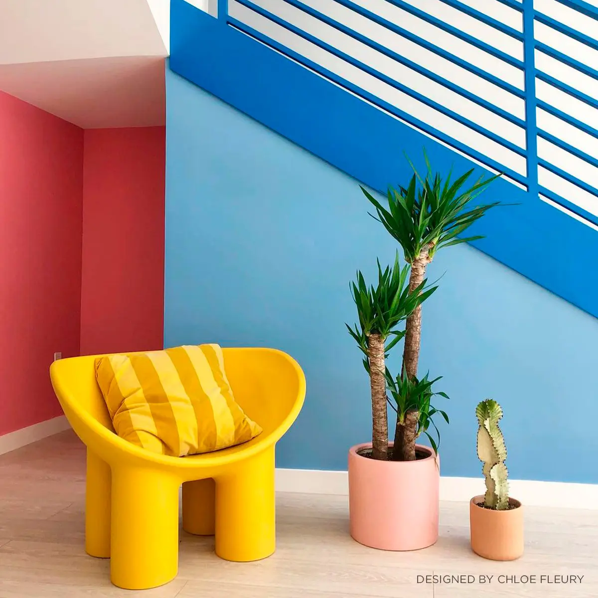 BARRAGÁN-CITO_ Electric, bright pink