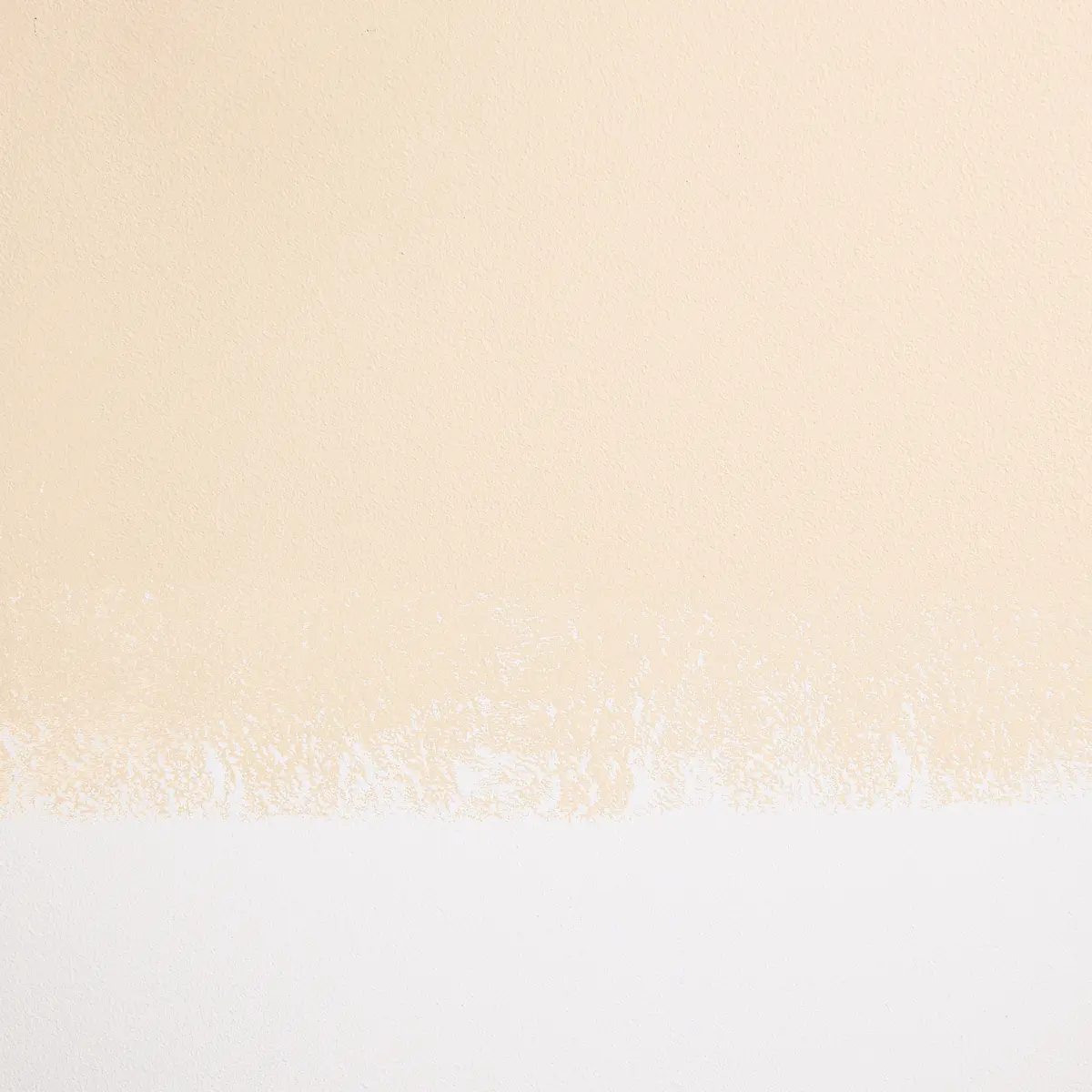 CHAMPAGNE BONFIRE_ Soft, pale peach