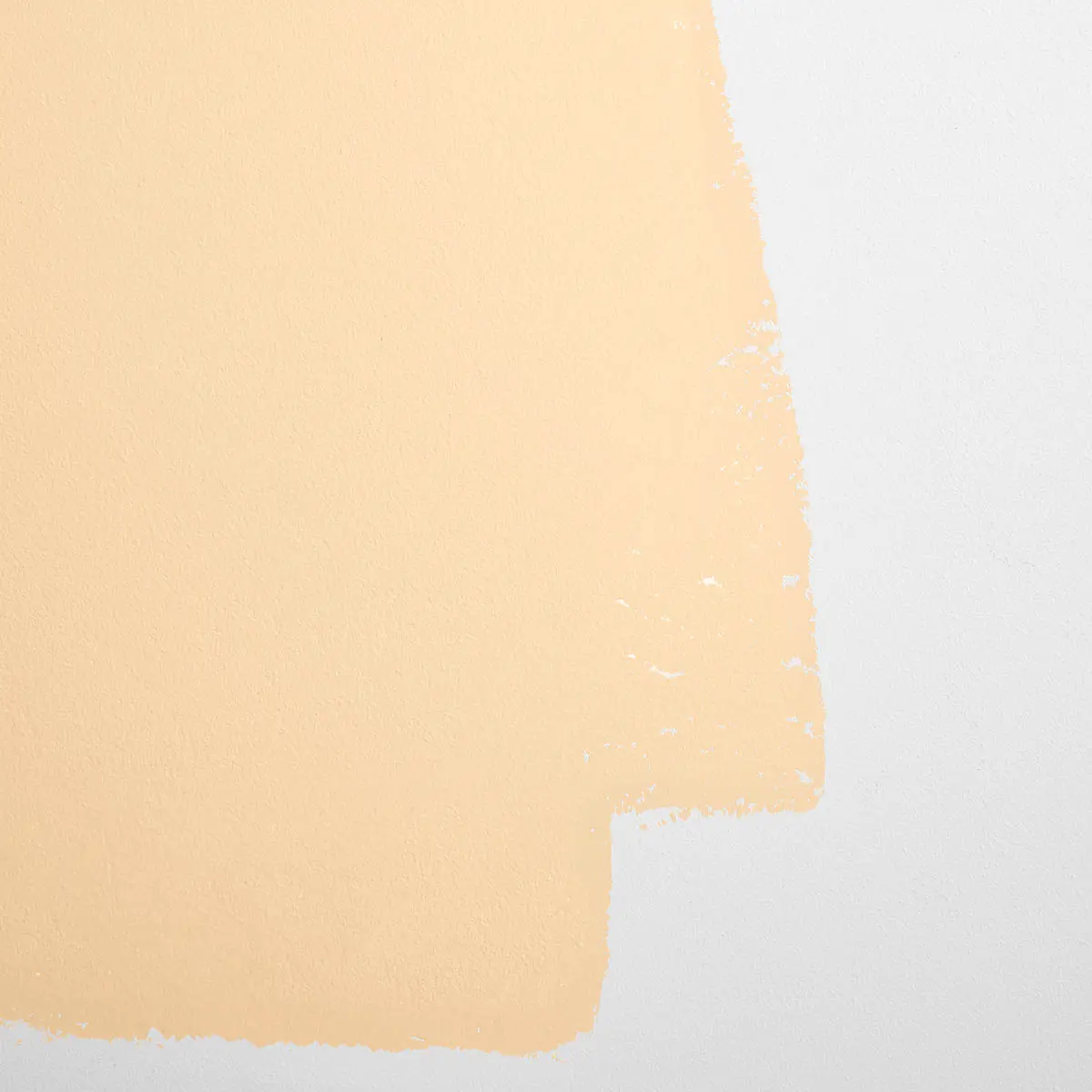 EARTHLY DELIGHTS_ Light peach