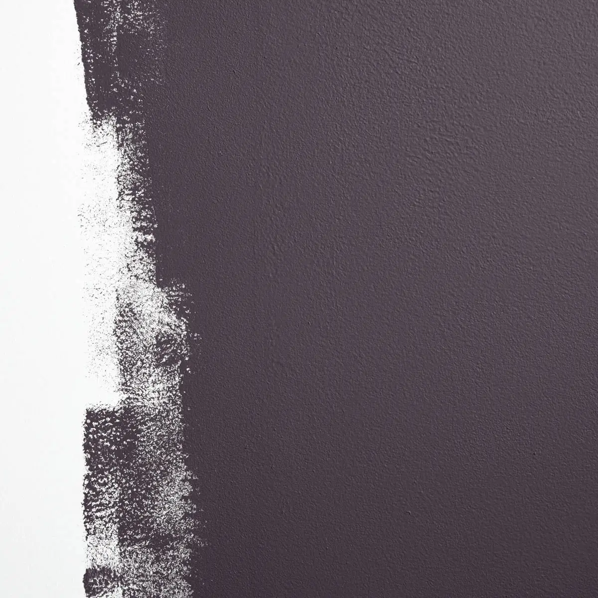 ESSENCE OF NIGHTSHADE_ Deep purple