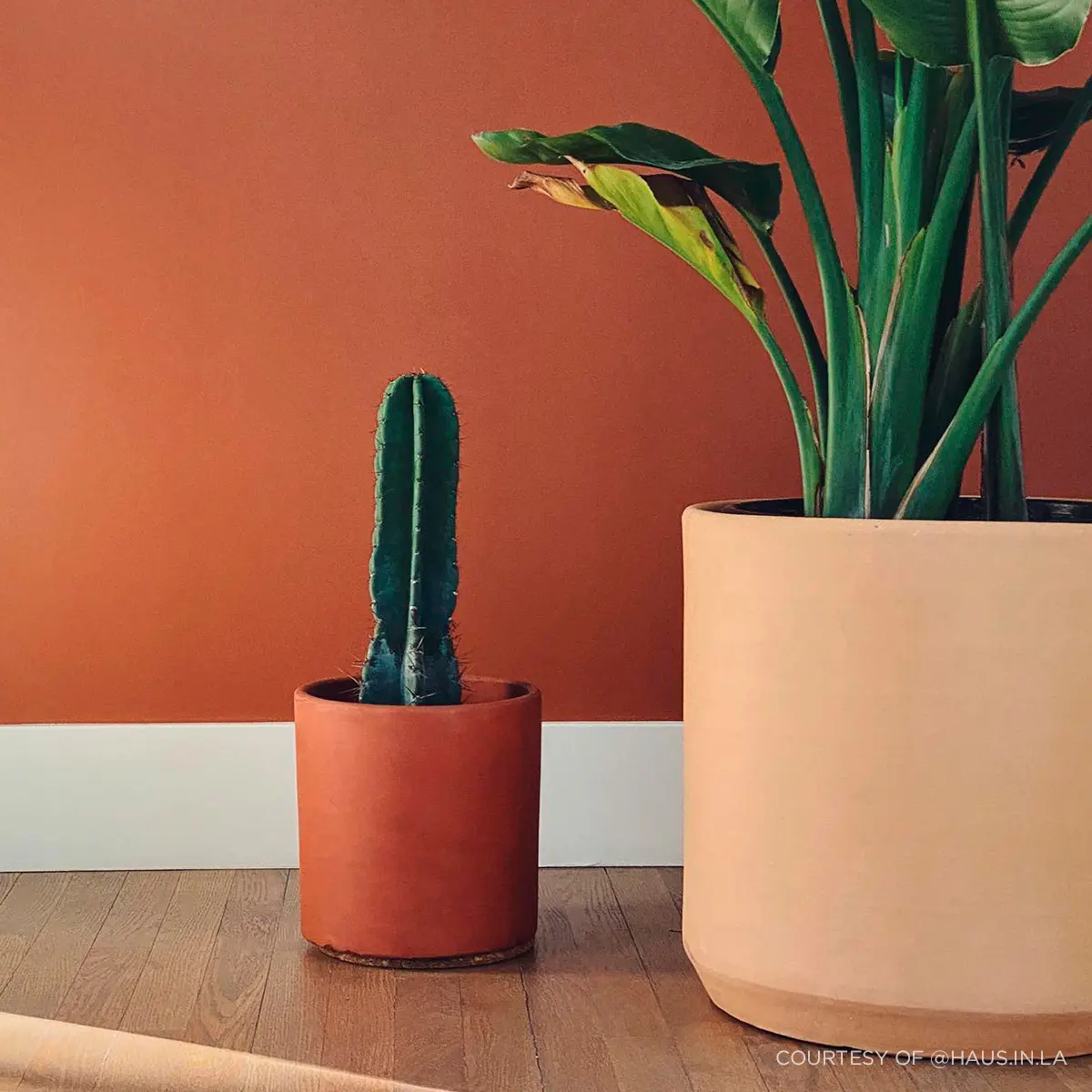 GHOST RANCH_ Warm terracotta