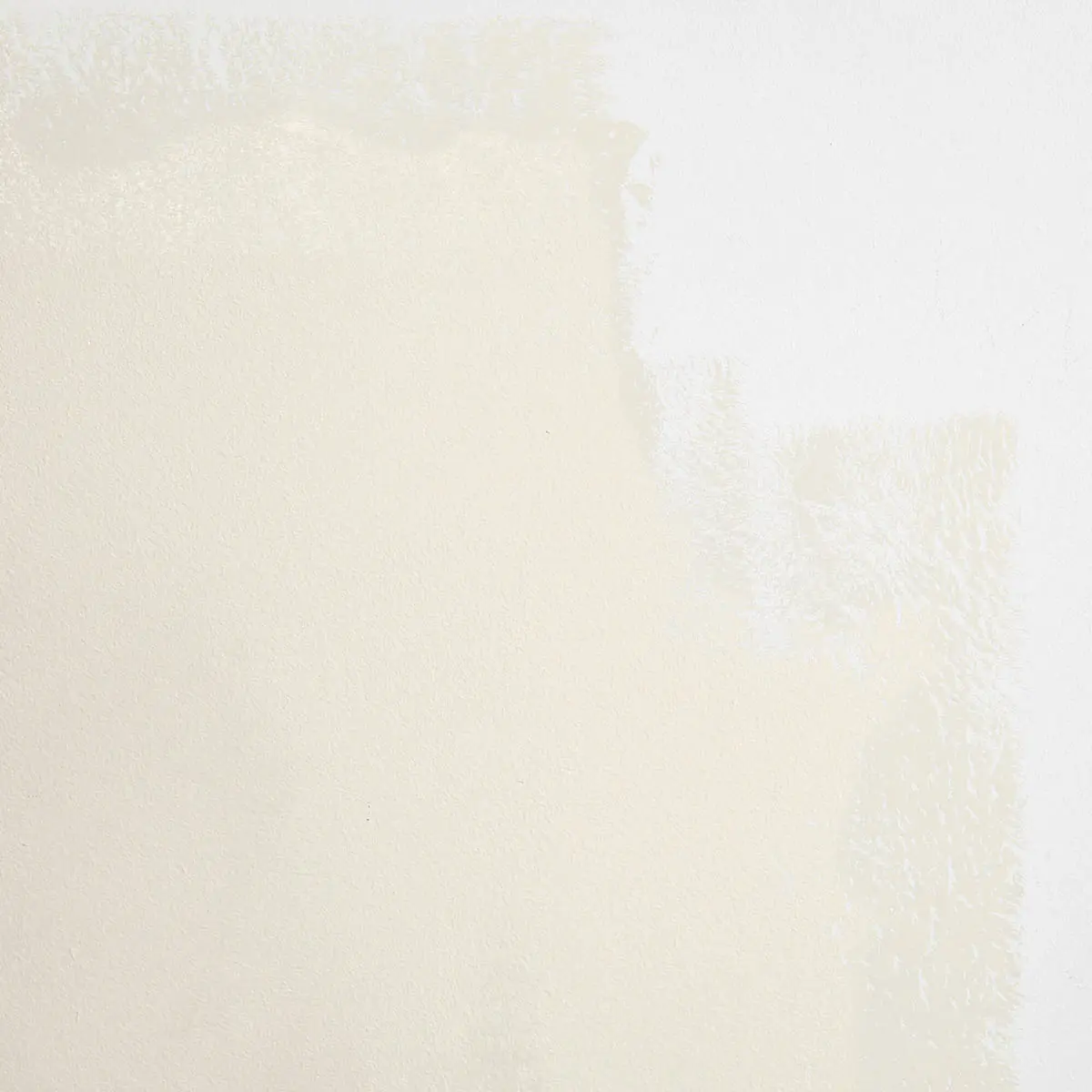 HARVEST MOON_ Warm white