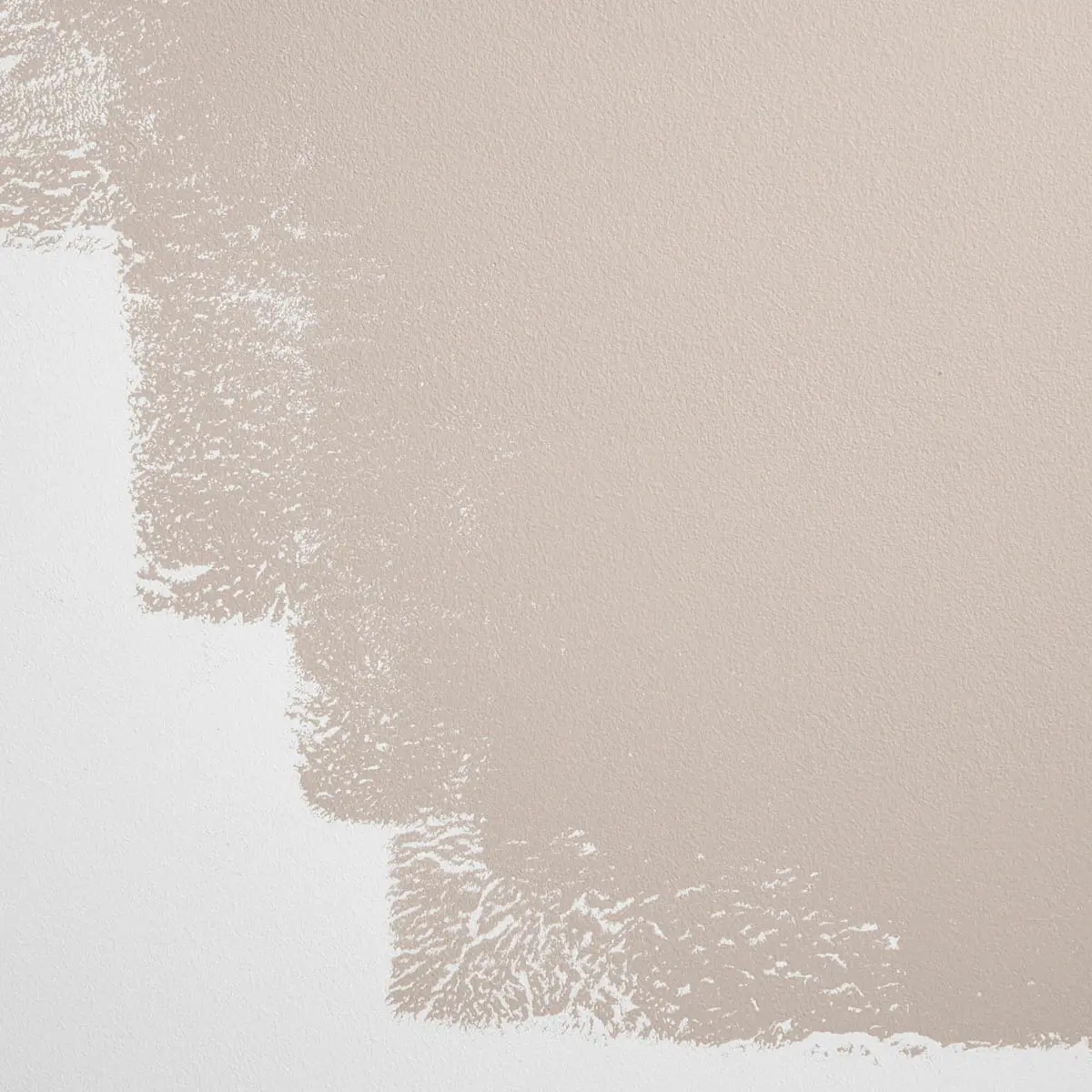 INTERIOR MOTIVES_ Warm gray-beige that skews taupe