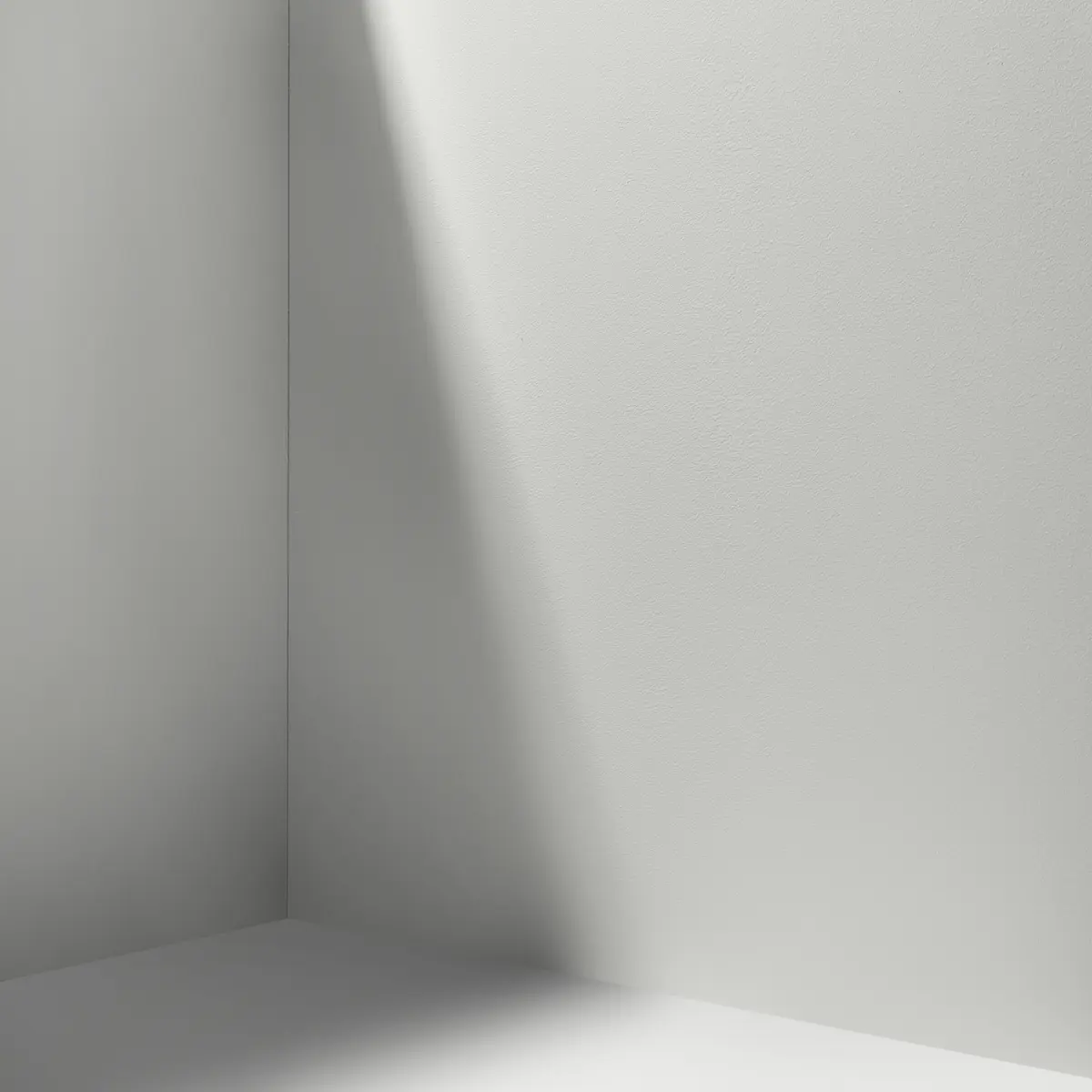 ITALIAN PLASTER_ Cool, light gray