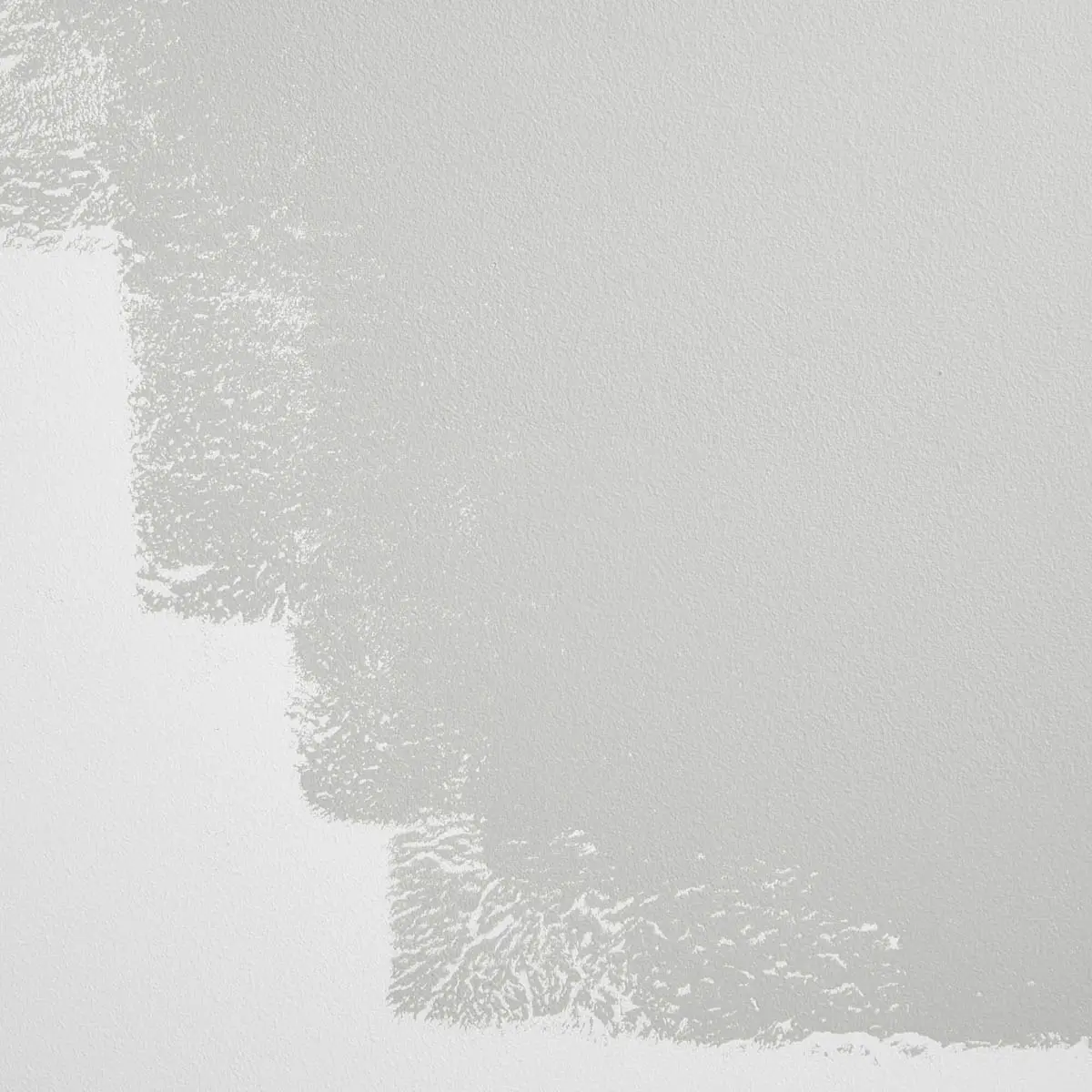 ITALIAN PLASTER_ Cool, light gray