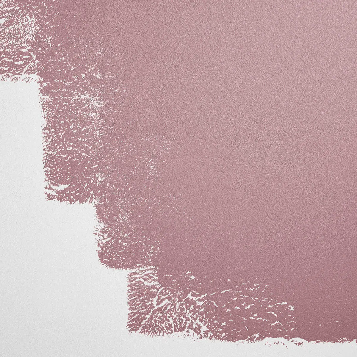 JAWBREAKER_ Rosy mauve