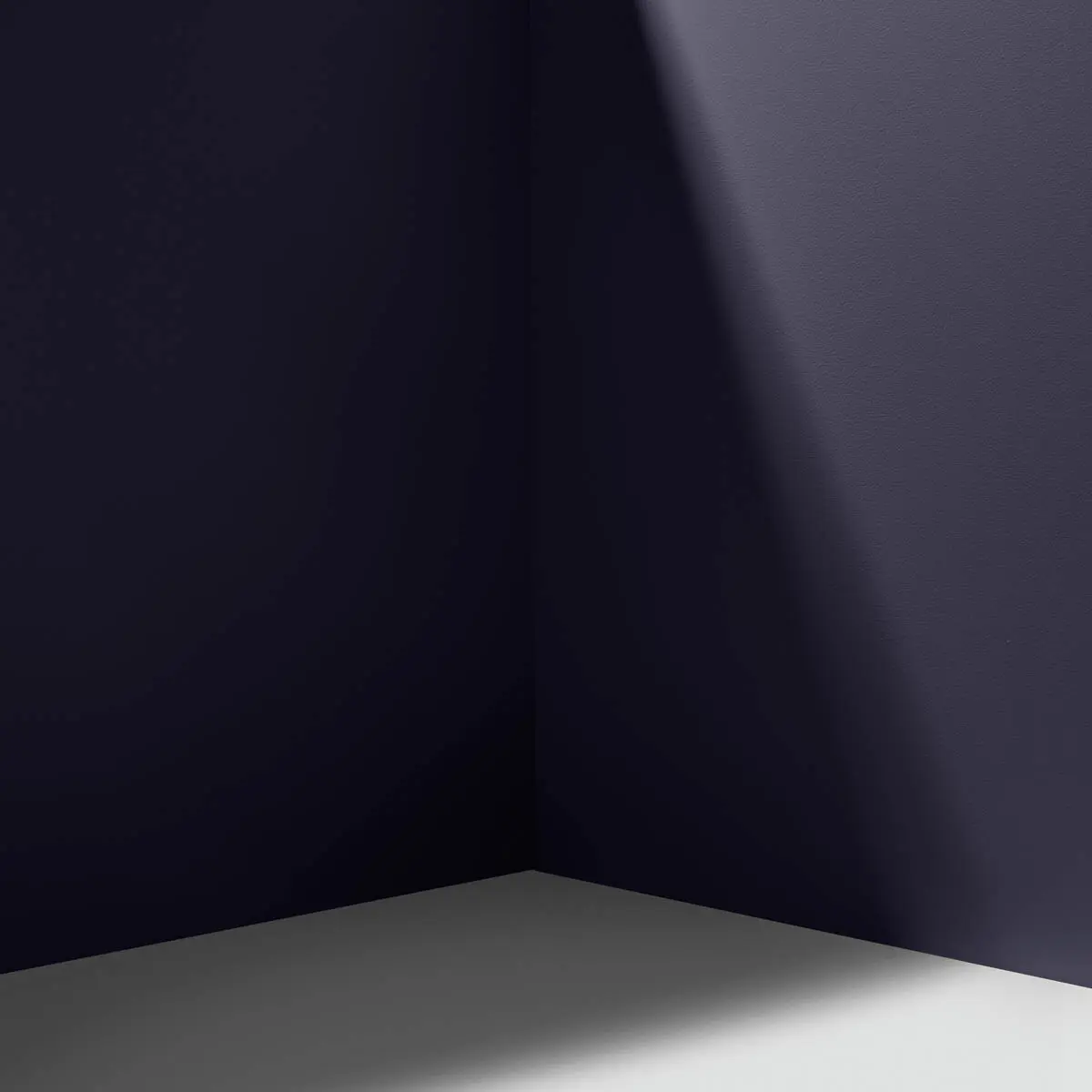 MCQUEEN_ Inky black with a hint of purple