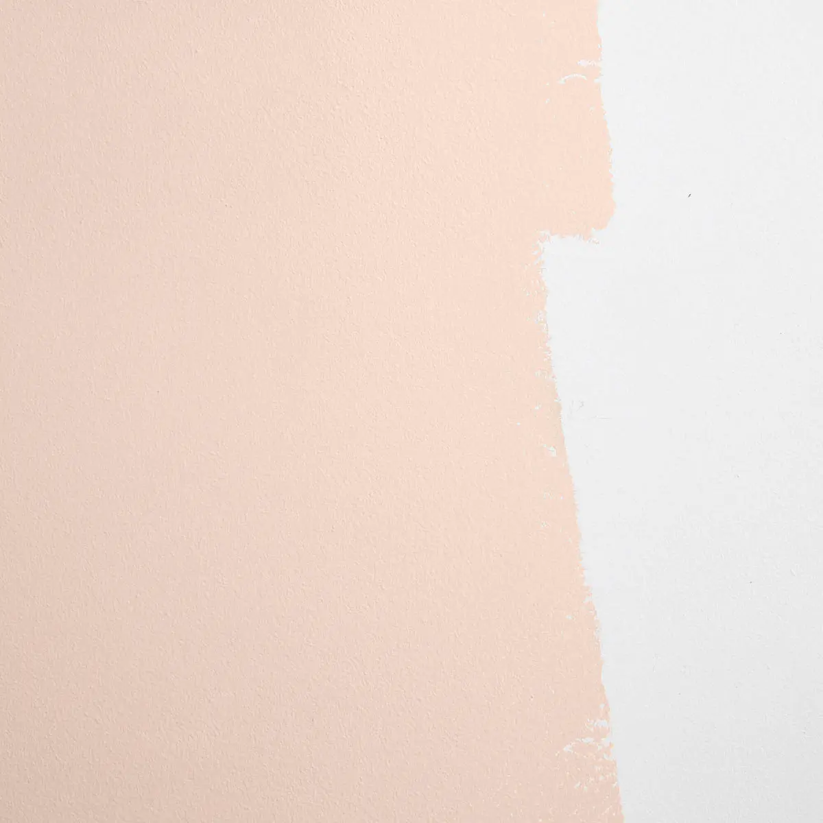 MODERN LOVE_ Warm, muted pink