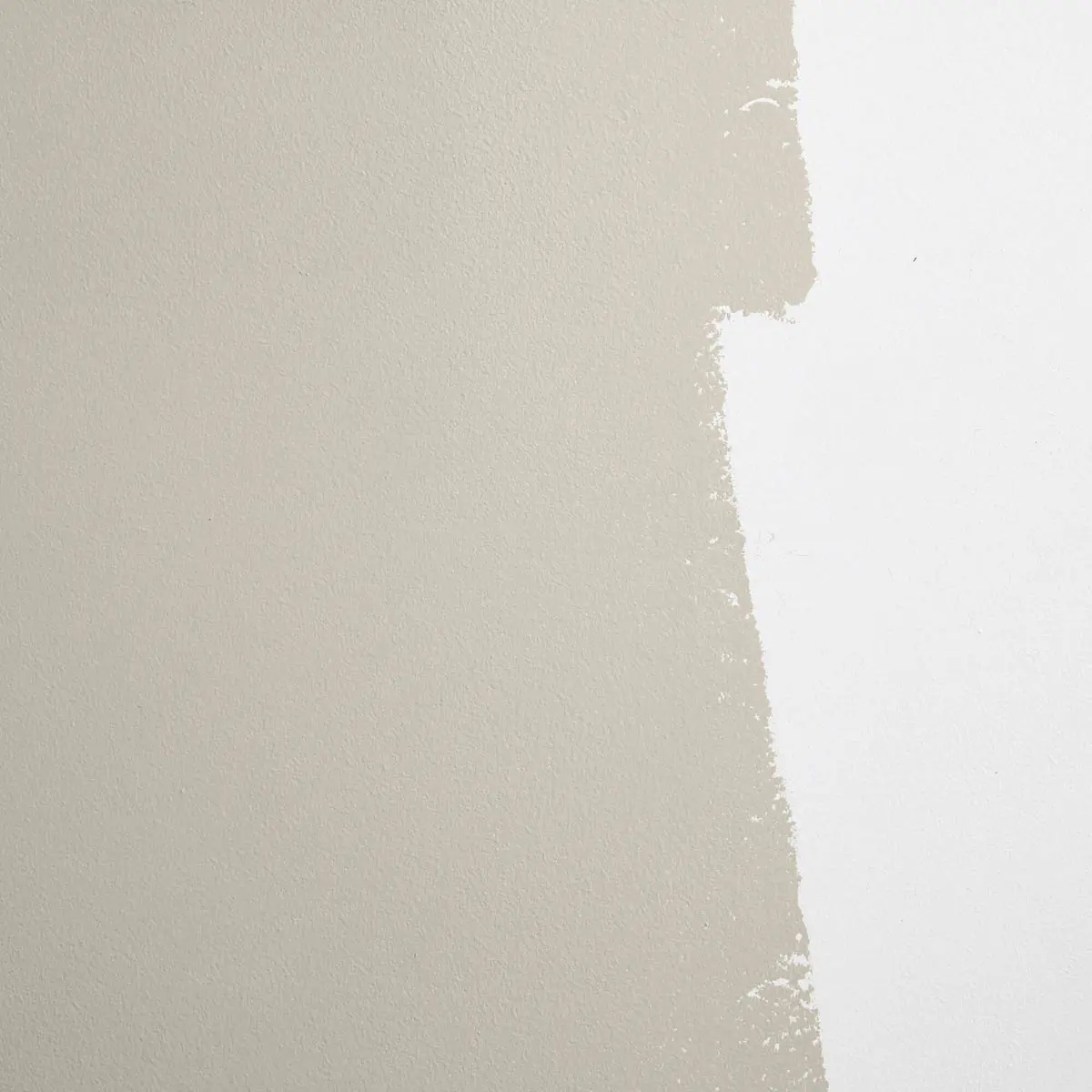 MOJAVE GATHERING_ Neutral gray-beige