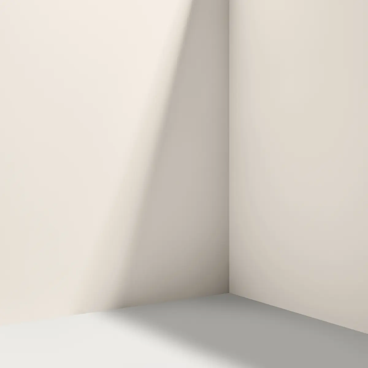 MOONLIGHT_ Warm off-white