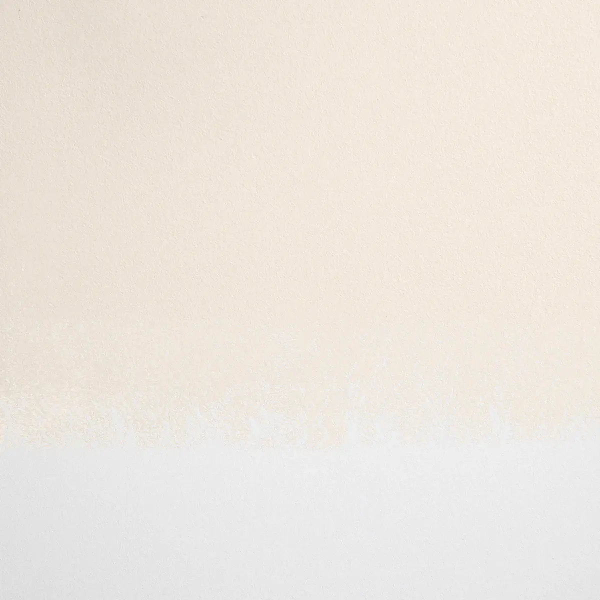 MOONLIGHT_ Warm off-white