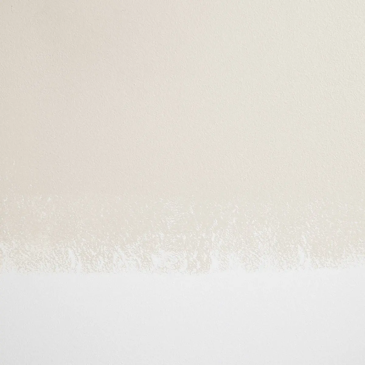 MORNING RITUAL_ Light gray-beige with warm undertones