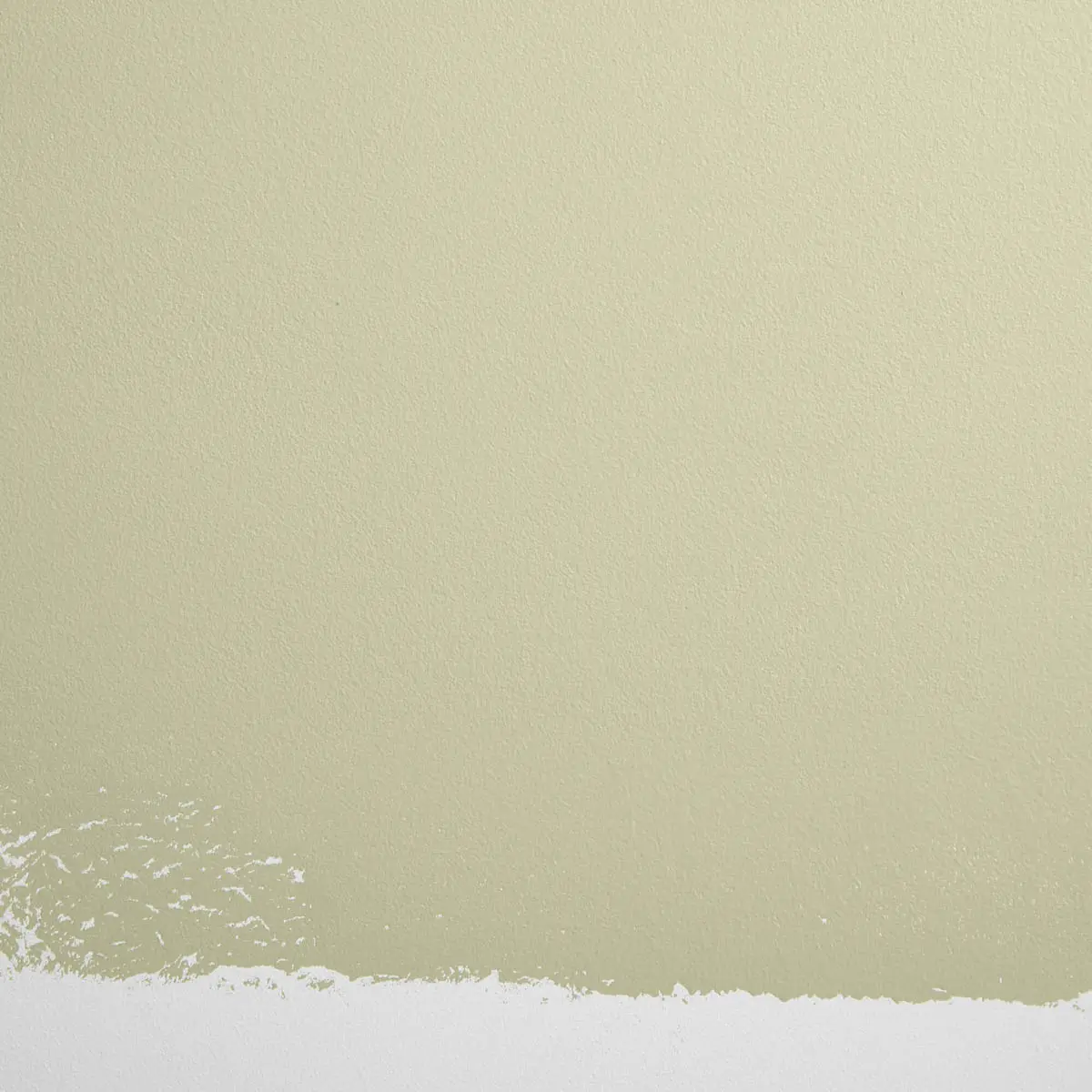 NATURAL HABITAT_ Light green with a hint of yellow