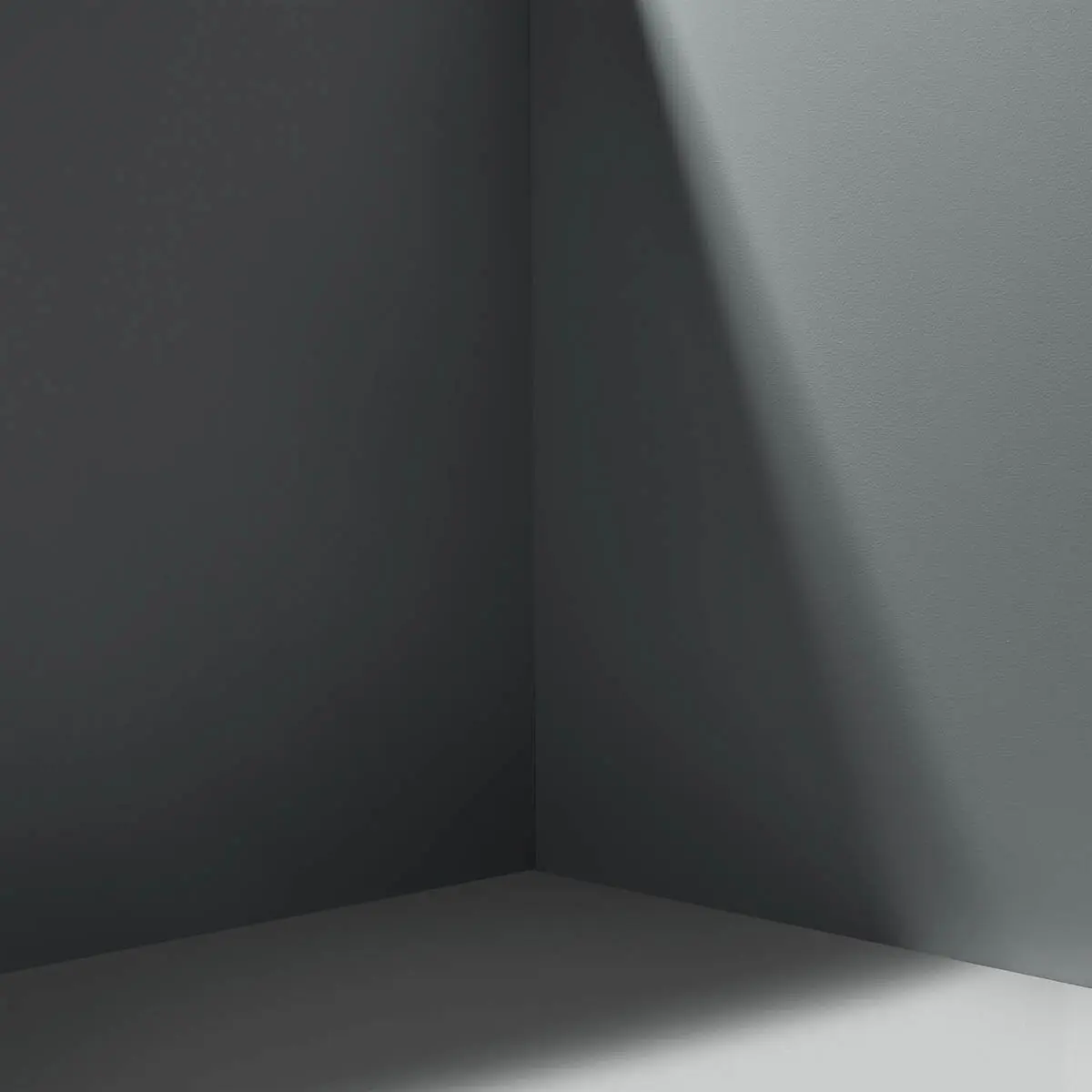 NO CURFEW_ Dark gray with cool undertones