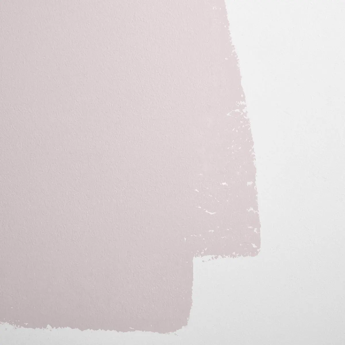 NOT SO DELICATE_ Gray lavender with a hint of pink