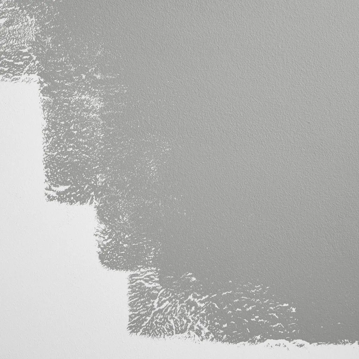 OFF THE RECORD_ Cool, clean gray