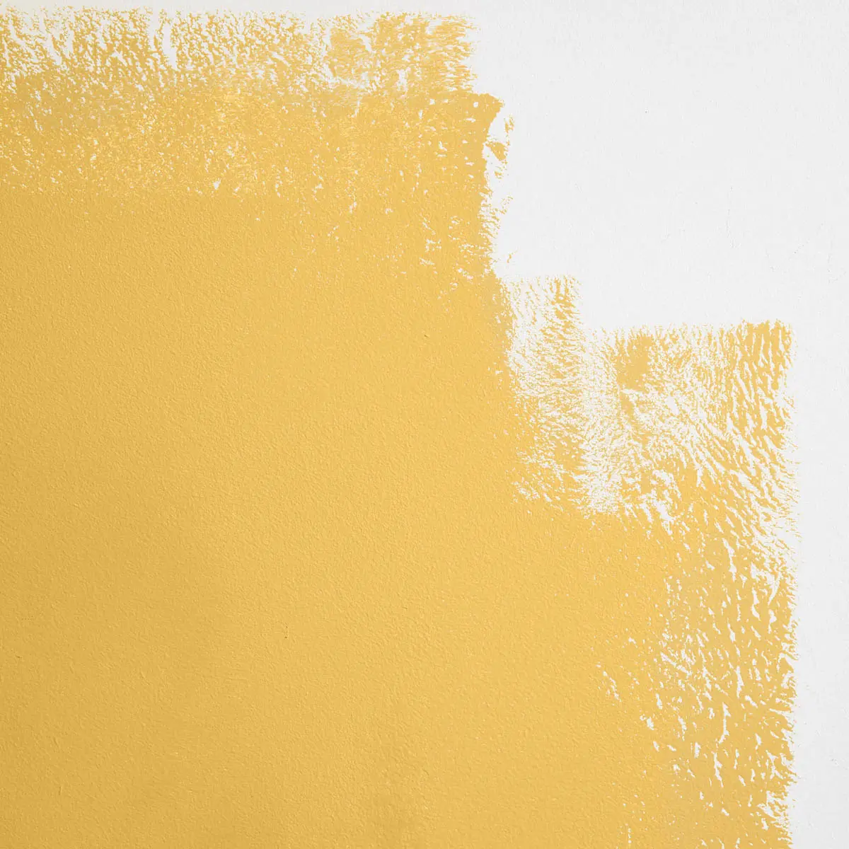 PABLO HONEY_ Warm, bright yellow