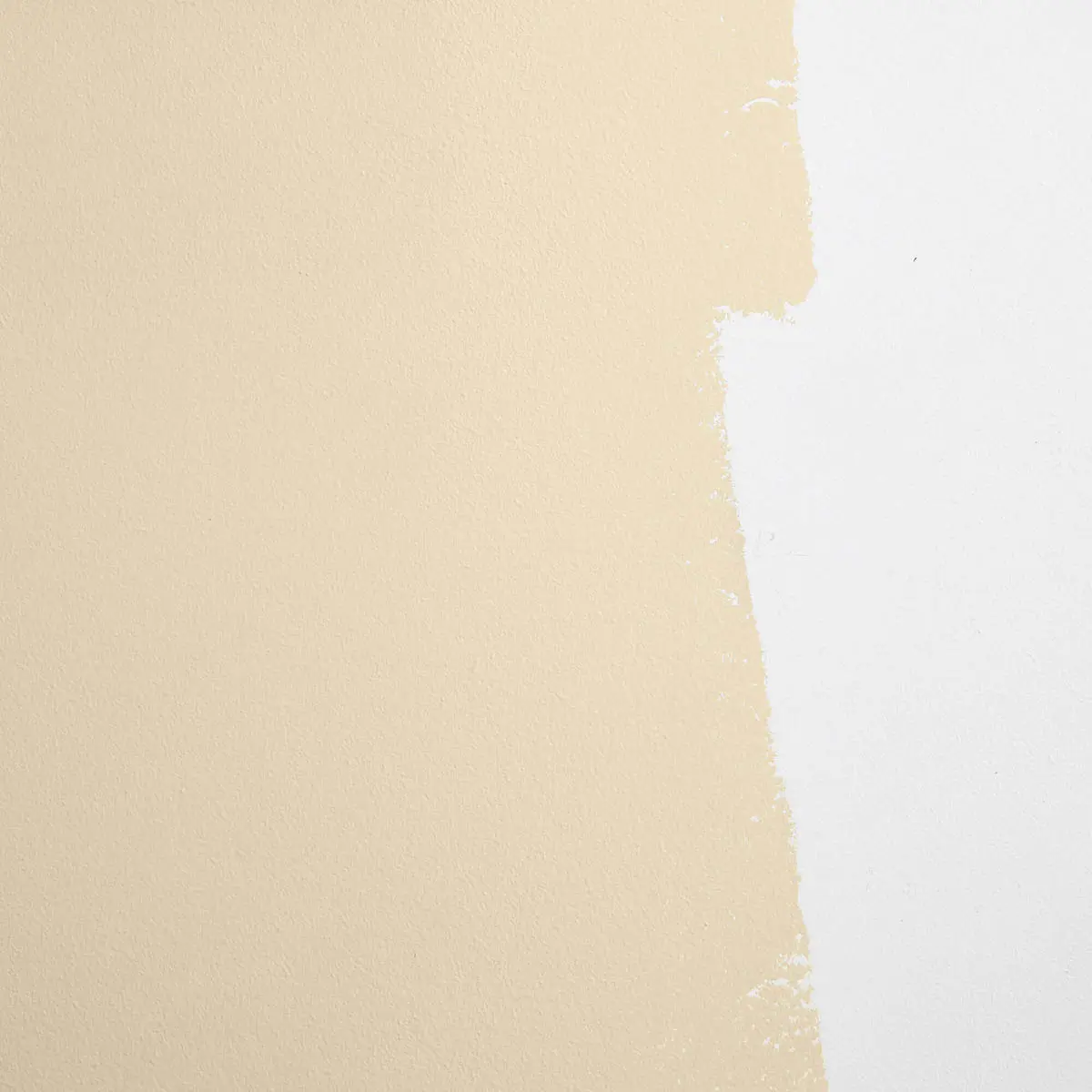 PALO SANTO_ Earthy yellow-beige