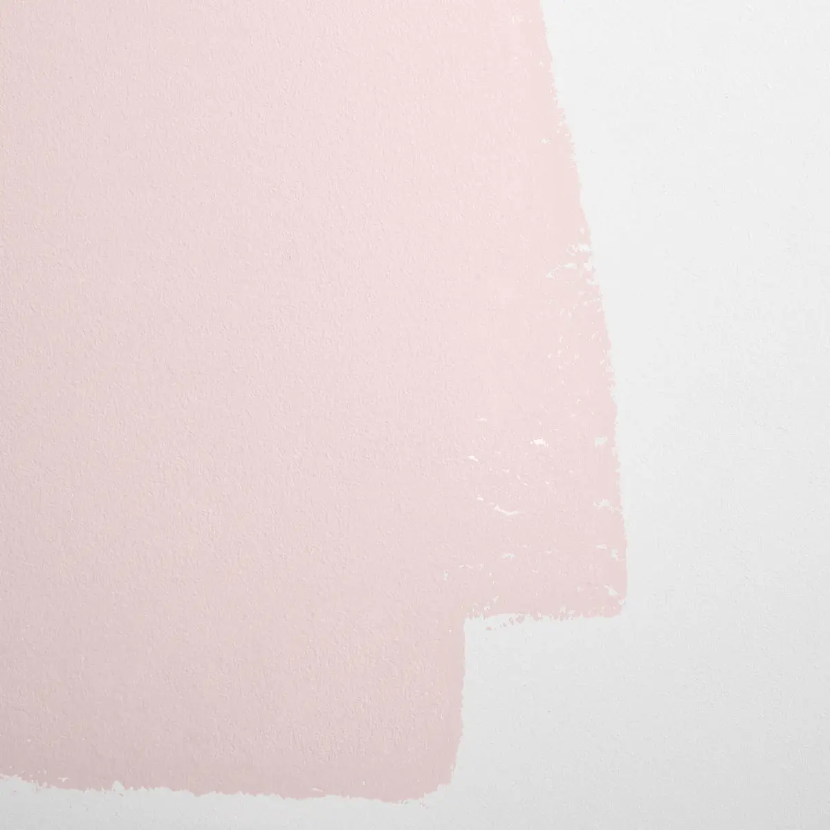 ROSE QUARTZ_ Warm pink with gray