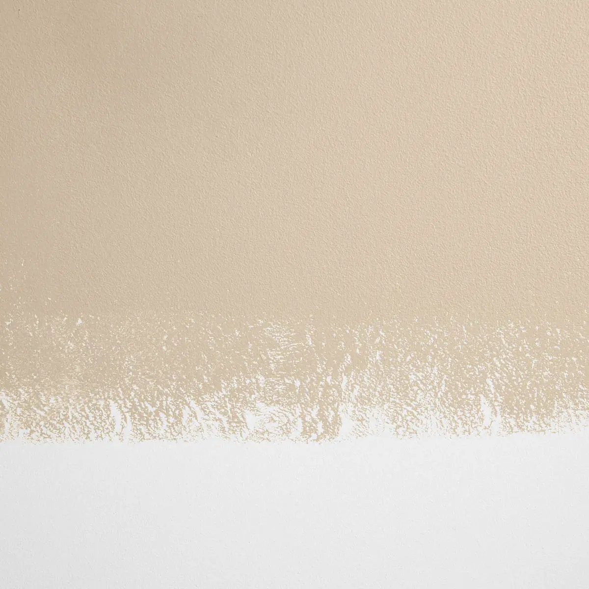 RYOKAN GUESTHOUSE_ Neutral beige
