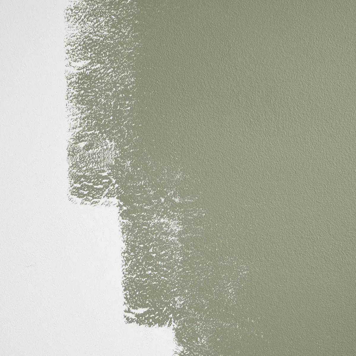 SAGED_ Muted olive green