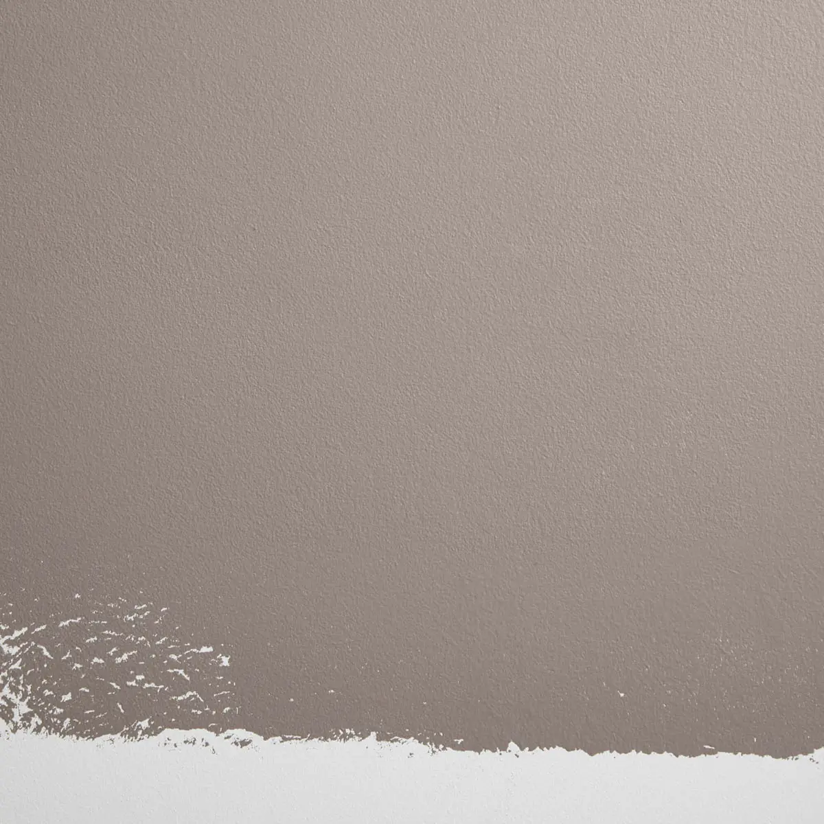 SENTIMENTAL REASONS_ Warm, taupe-gray