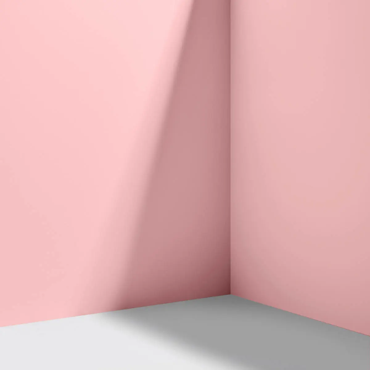 SHY BOYS_ A true pink
