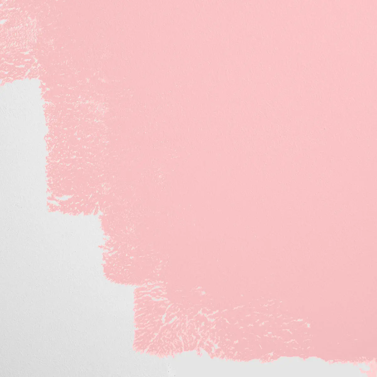 SHY BOYS_ A true pink