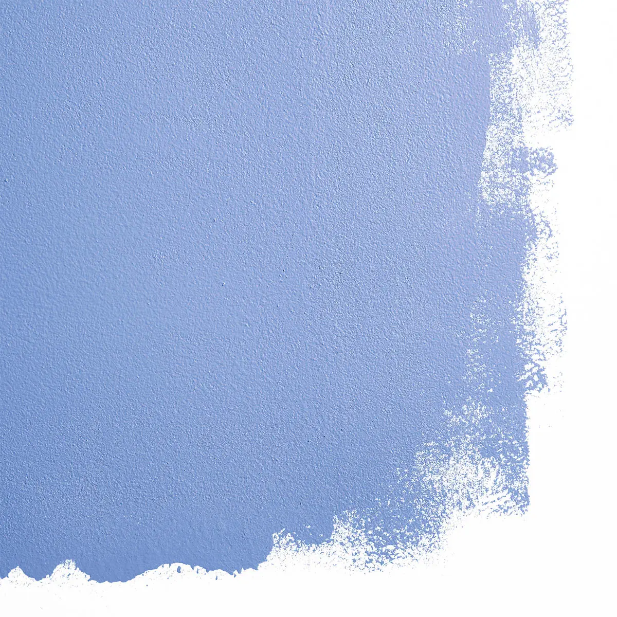 STROMBOLI CHESS CLUB_ Vibrant cornflower blue