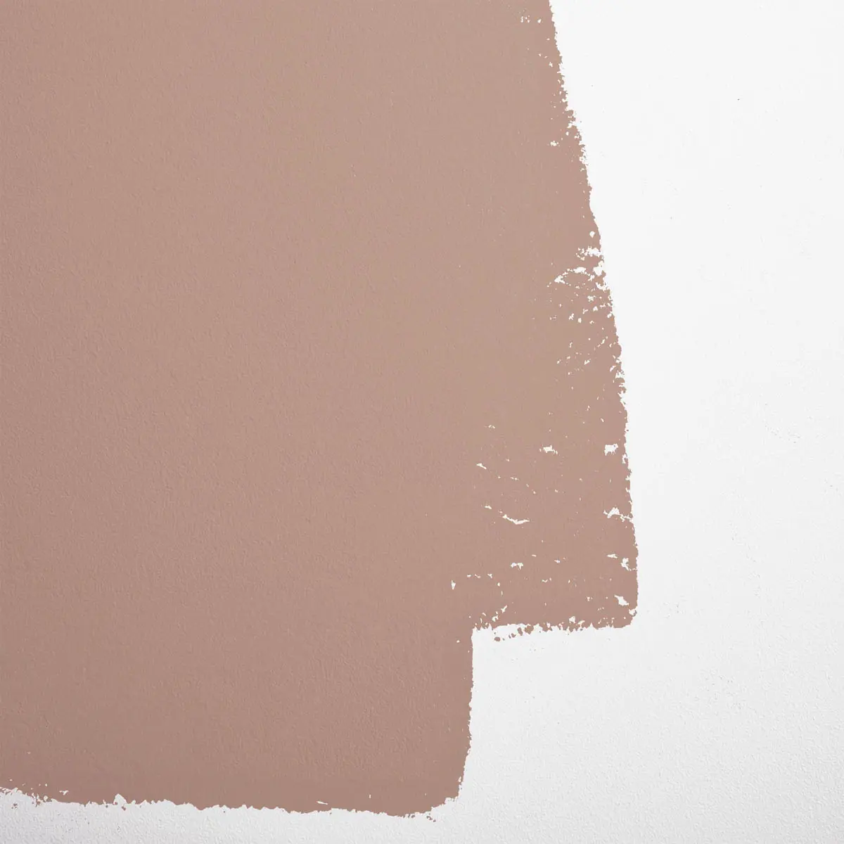 STUDIO HOURS_ Warm taupe