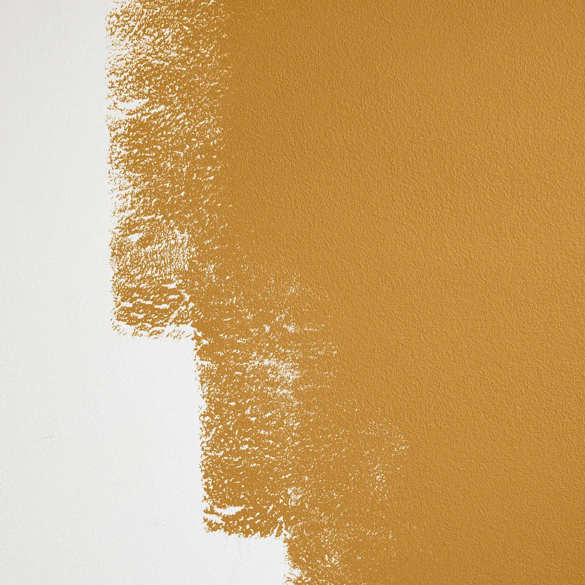 TANLINES_ Dark, strong yellow