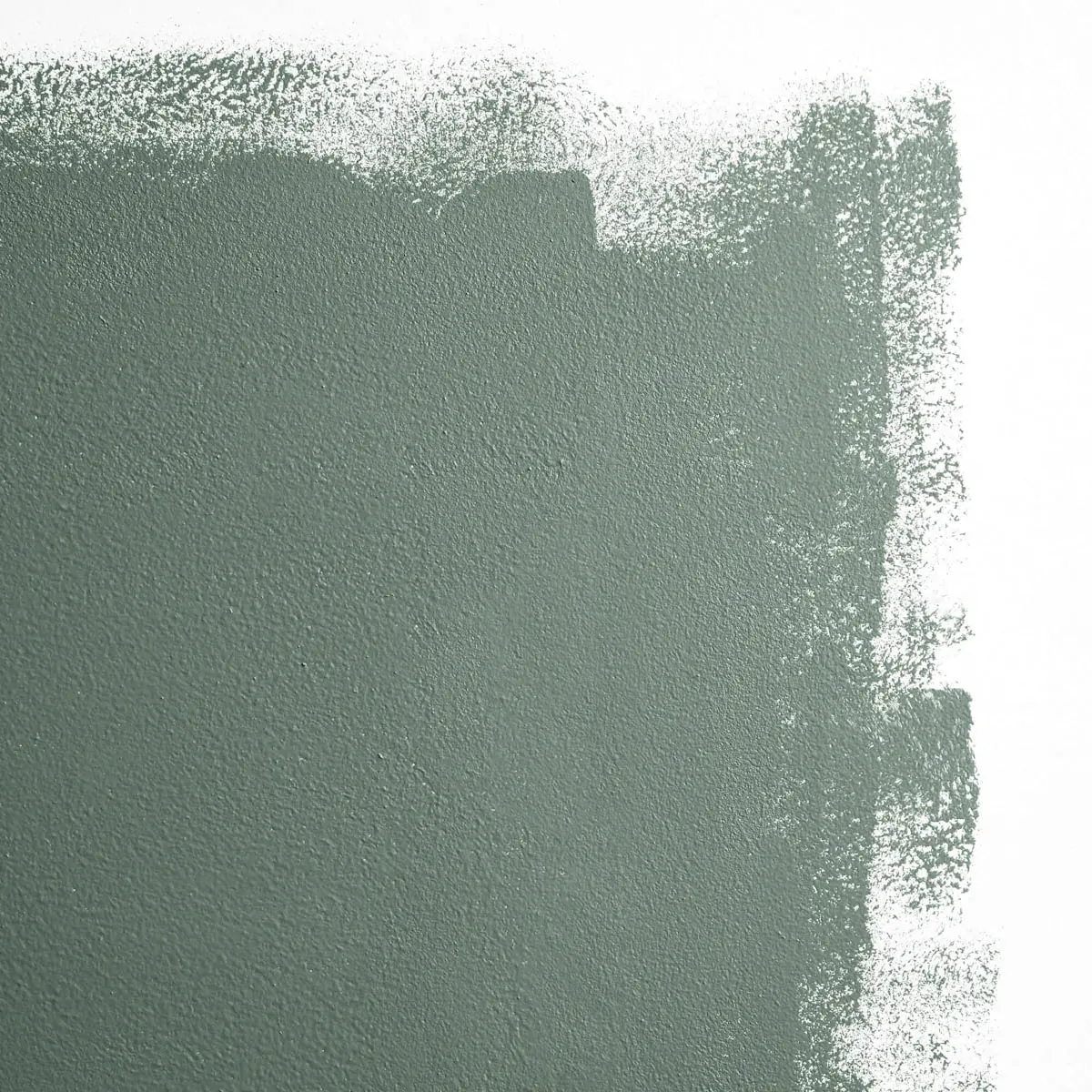 WEEKEND UPSTATE_ Dark green with a hint of blue
