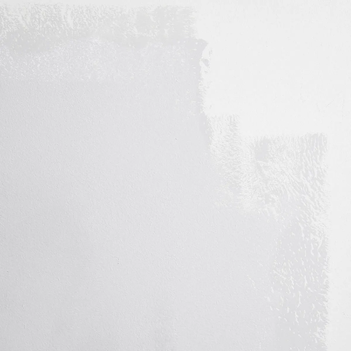 WEST COAST GHOST_ Super light gray with blue undertones