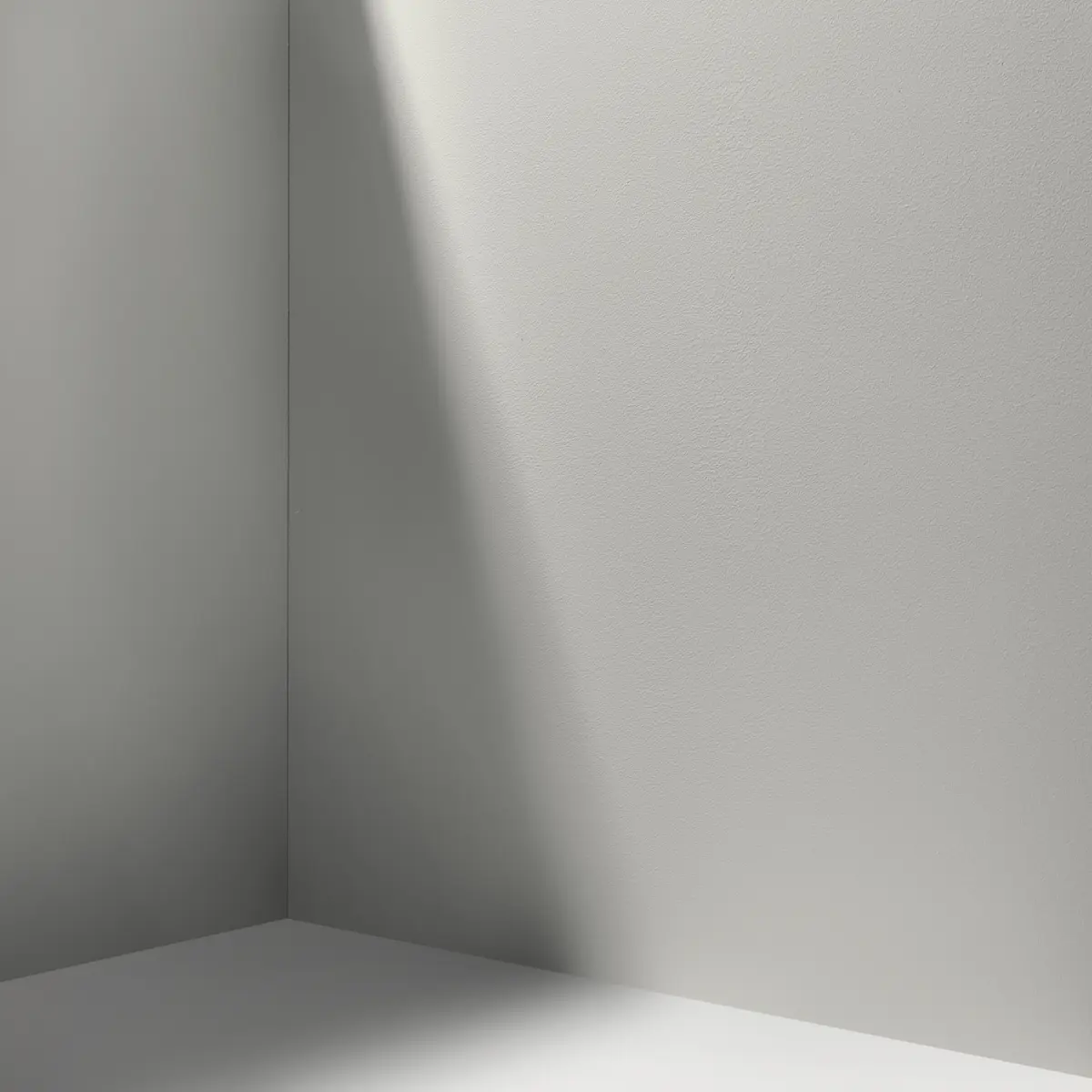 WESTSIDE LOCAL_ Pure, neutral gray