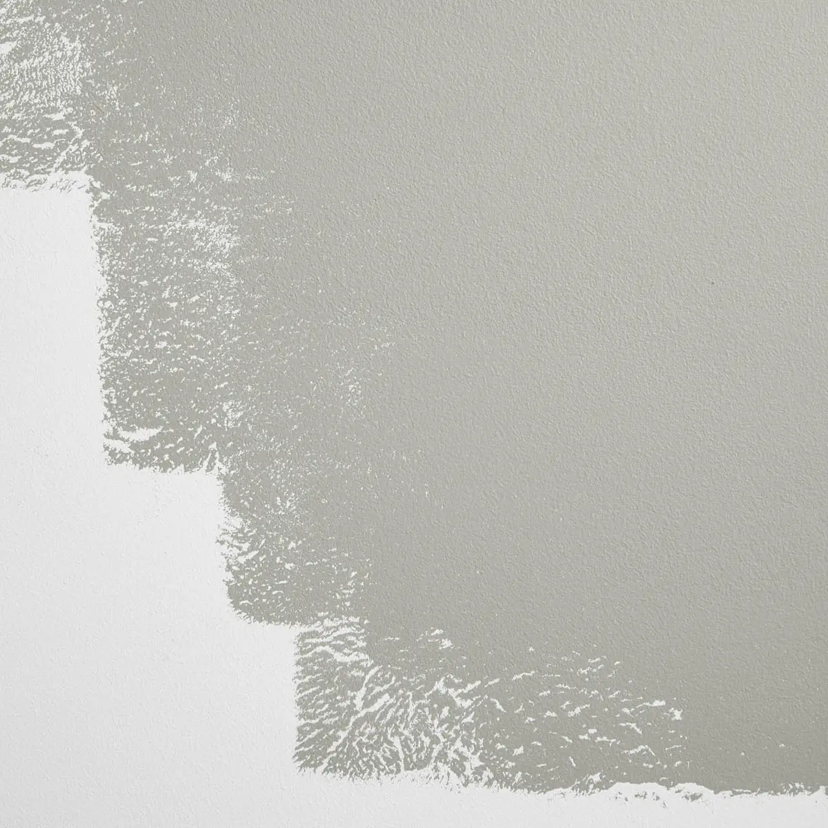 WESTSIDE LOCAL_ Pure, neutral gray