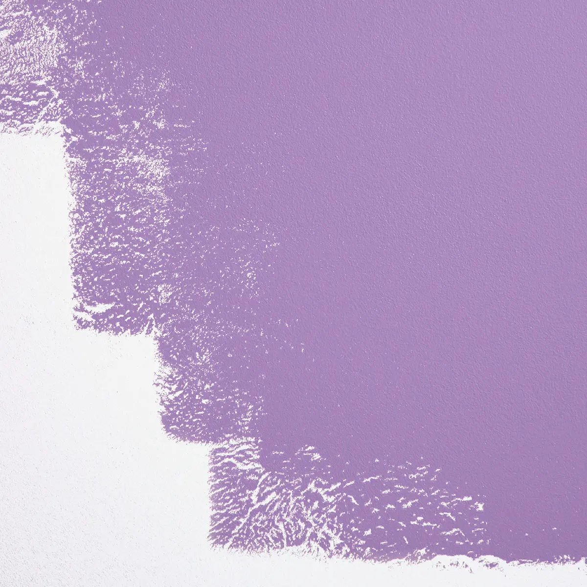 BARBIE™ DREAMHOUSE™ PURPLE_ True purple