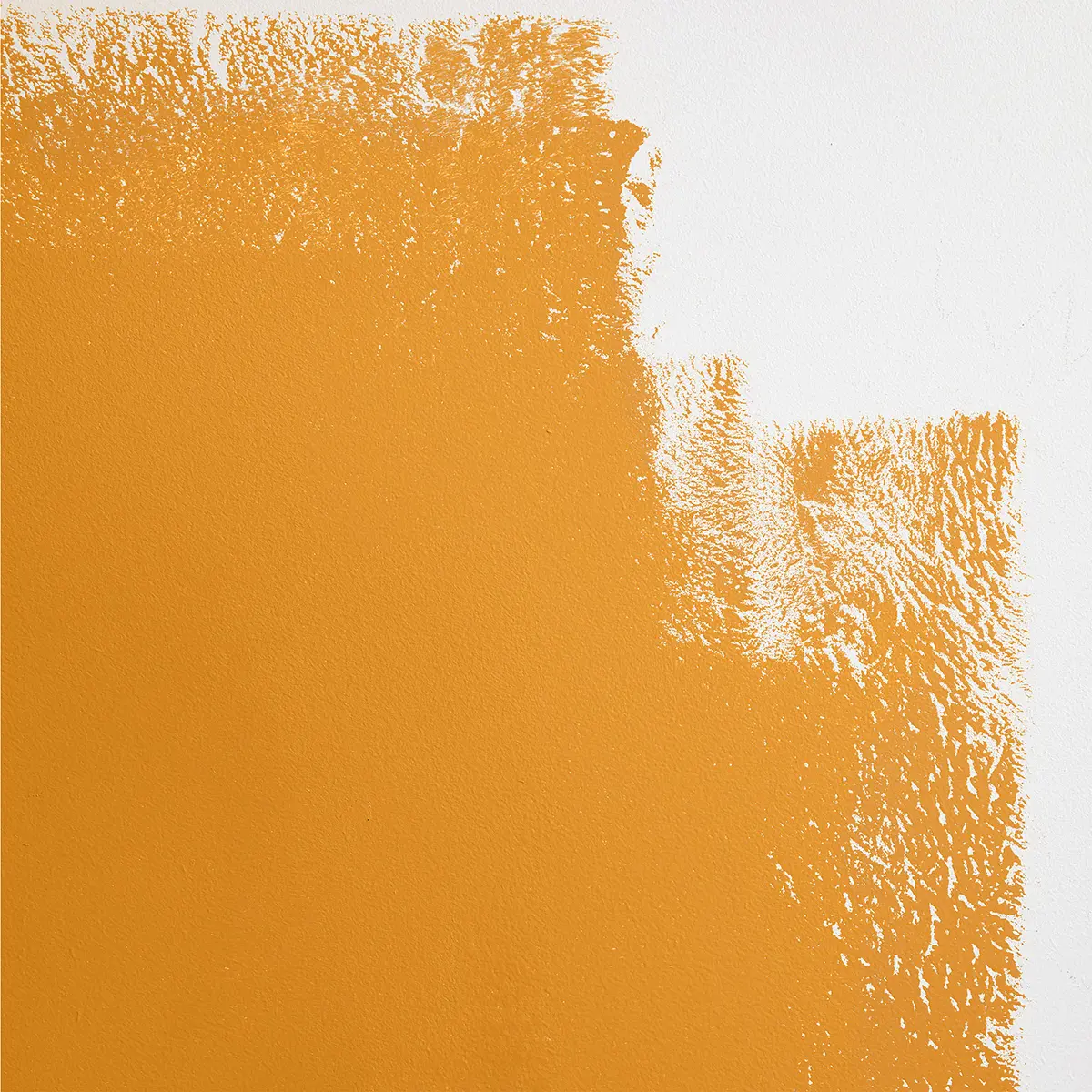 COLOR OF THE YEAR_ Yellow-orange