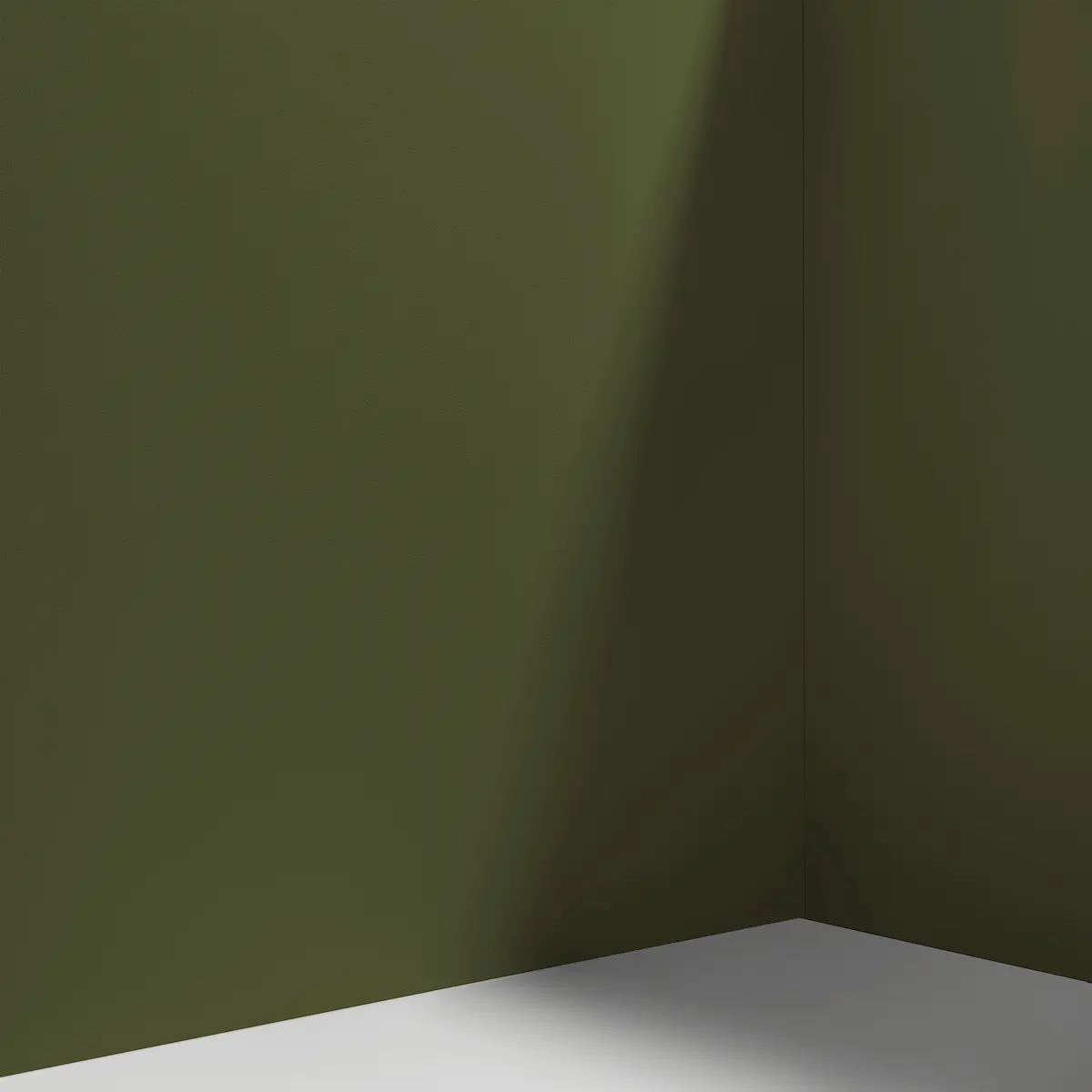 NIGHT ON EARTH_ Dark olive green