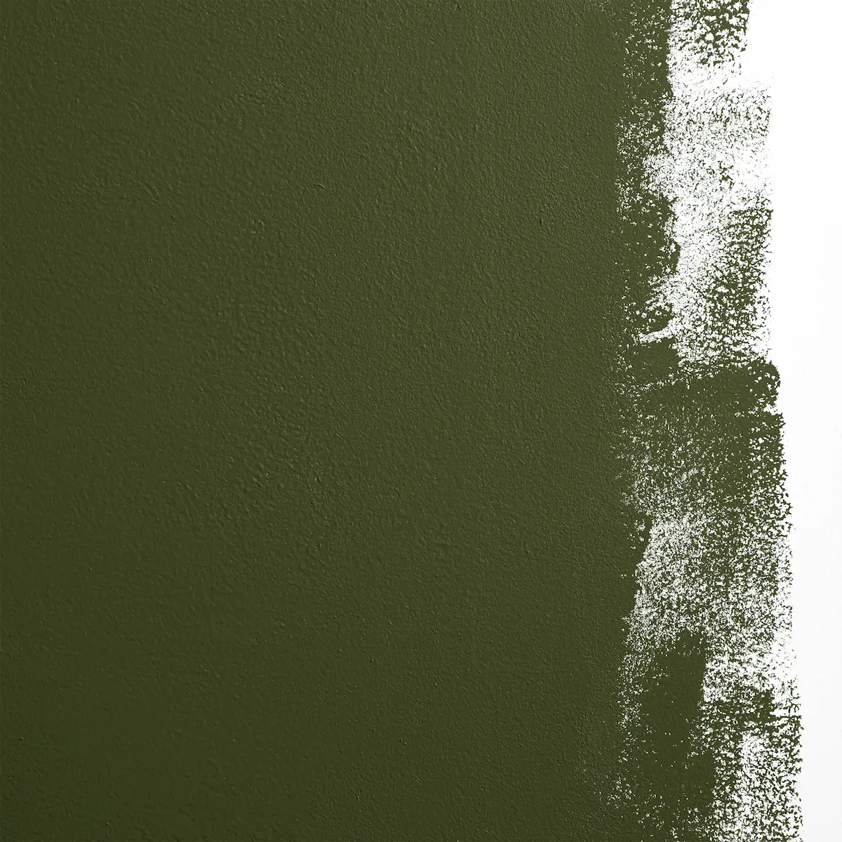 NIGHT ON EARTH_ Dark olive green