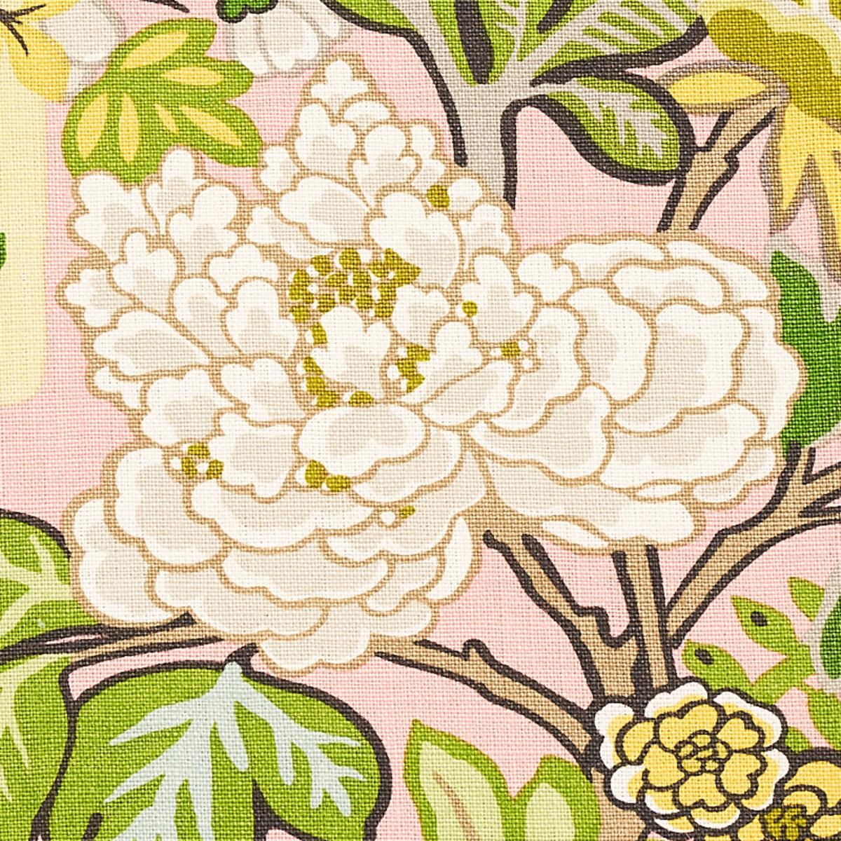 Chiang Mai Dragon - Blush Fabrics | Schumacher