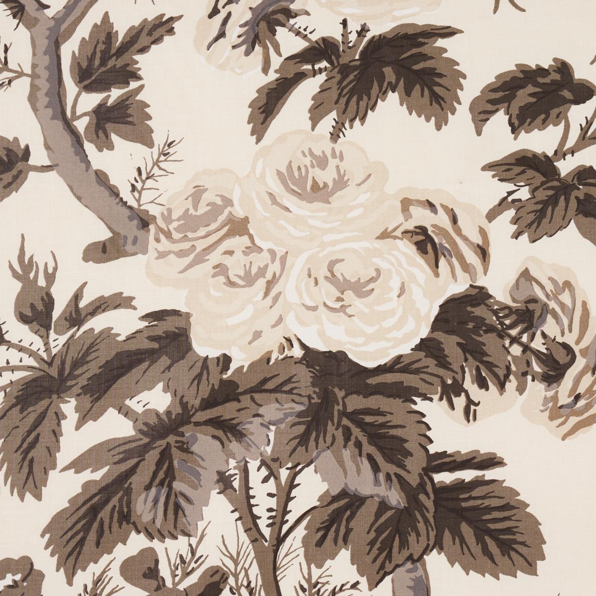 PYNE HOLLYHOCK_CHARCOAL