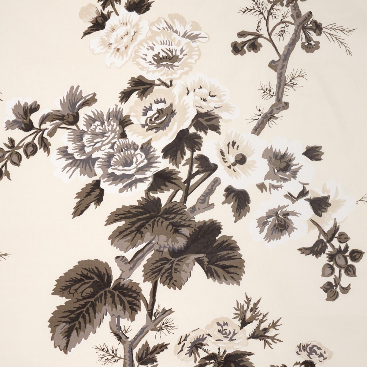 PYNE HOLLYHOCK_CHARCOAL