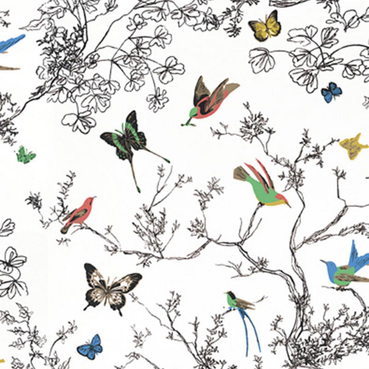 one hundred butterflies  写真集　100の蝶 il_fullxfull.6447450164_pscw.jpg