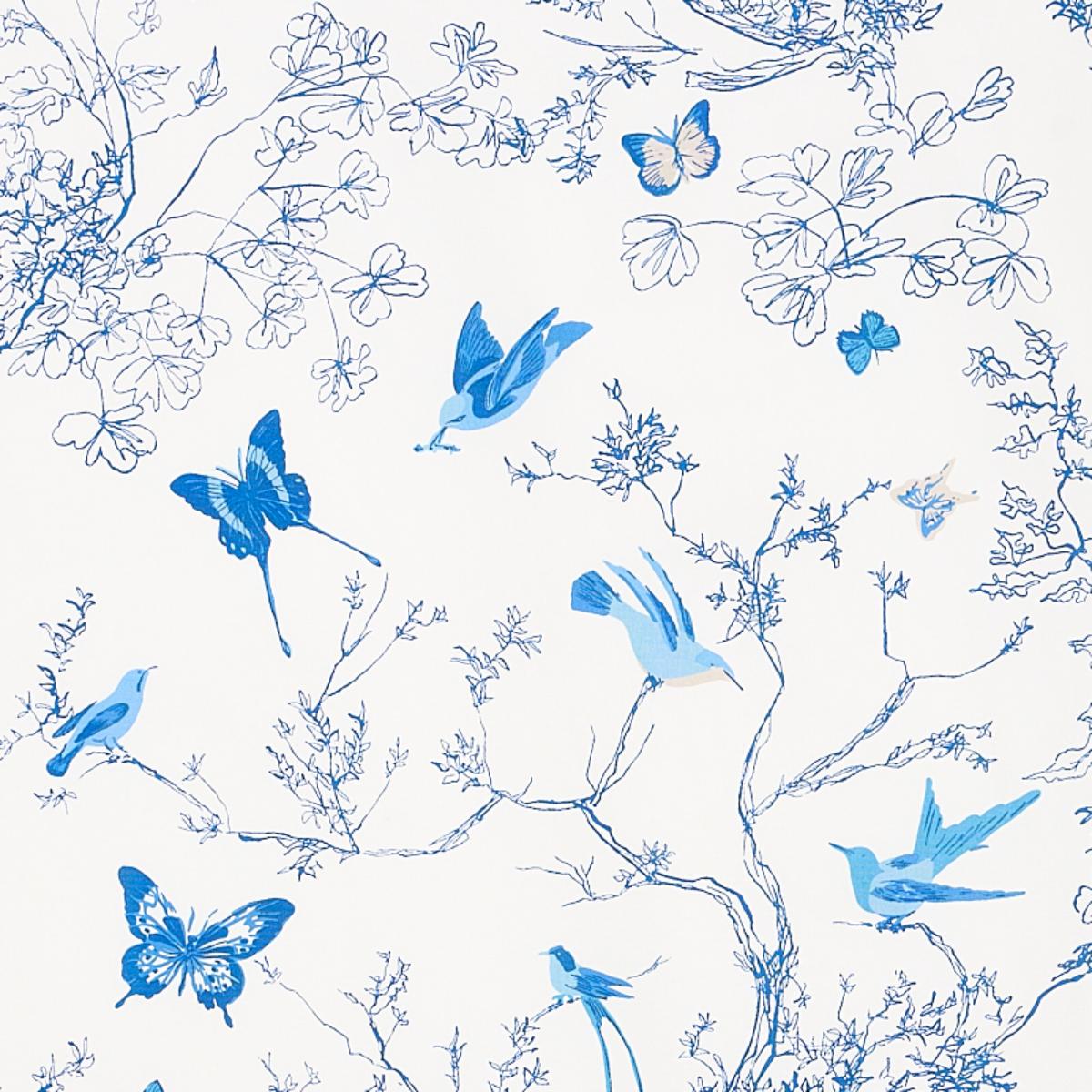 one hundred butterflies 写真集 100の蝶 one hundred