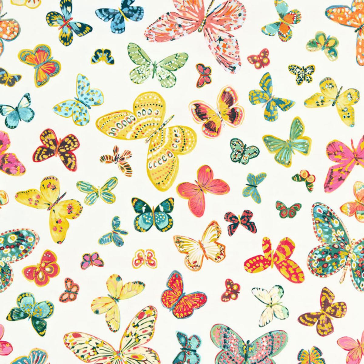 one hundred butterflies  写真集　100の蝶 il_340x270.6495552271_88de.jpg