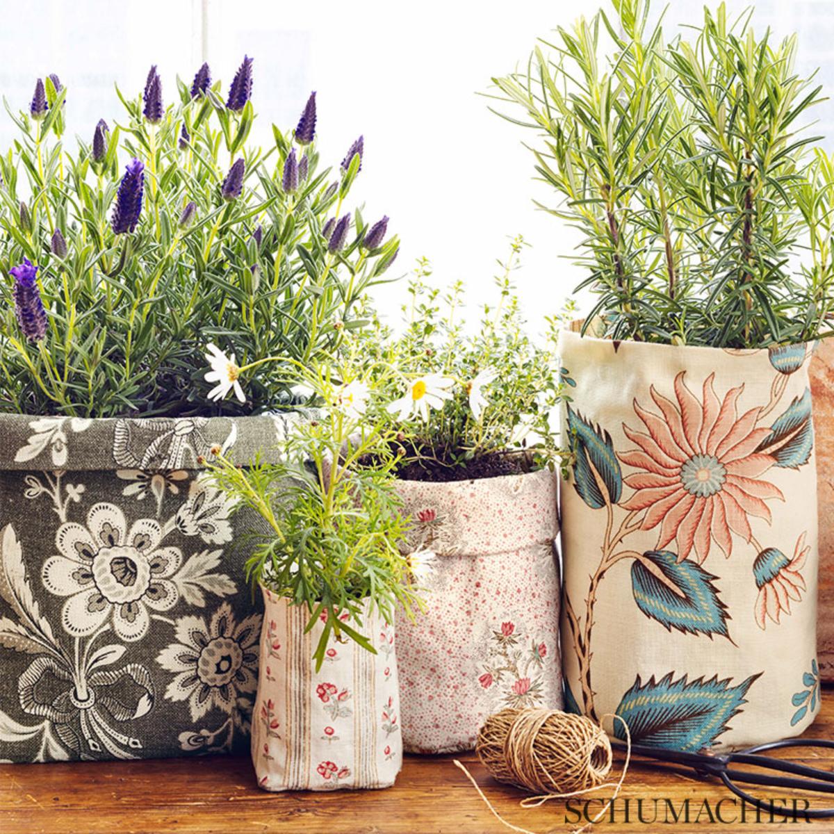 ★QUMAPON ROUGE+QUMAPON PEACOCK 2.5