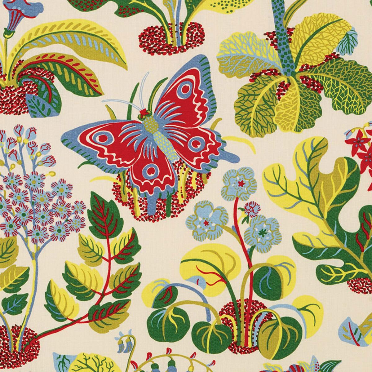 BUTTERFLY - 朱世赫FL Exotic Butterfly - Multi Fabrics | Schumacher